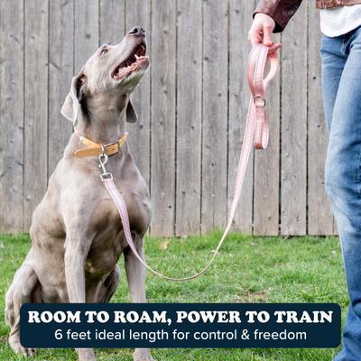 Show full view: Puppington Reflective Padded Dog & Cat Leash, Blush Pink, 6-ft long, 1-in wide slide 4 of 8