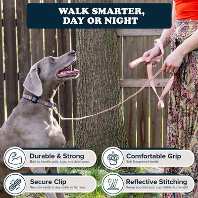 Show full view: Puppington Reflective Padded Dog & Cat Leash, Blush Pink, 6-ft long, 1-in wide slide 3 of 8