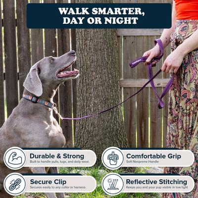 Show full view: Puppington Reflective Padded Dog & Cat Leash, Plum Wine, 6-ft long, 1-in wide slide 3 of 8