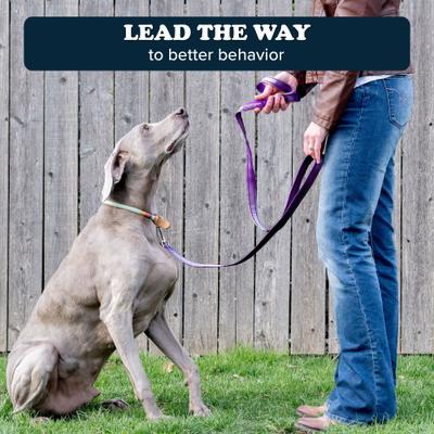 Show full view: Puppington Reflective Padded Dog & Cat Leash, Plum Wine, 6-ft long, 1-in wide slide 7 of 8