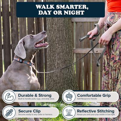 Show full view: Puppington Reflective Padded Dog & Cat Leash, Charcoal Gray, 6-ft long, 1-in wide slide 3 of 8