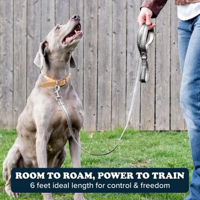 Show full view: Puppington Reflective Padded Dog & Cat Leash, Charcoal Gray, 6-ft long, 1-in wide slide 4 of 8