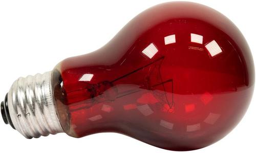 Show full view: Zoo Med Nightlight Red Reptile Terrarium Bulb, 25-watt, 1 count slide 3 of 4