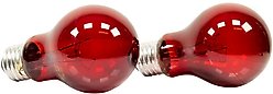 Zoo Med Nightlight Red Reptile Terrarium Bulb, 60-watt, 2 count slide 2 of 2