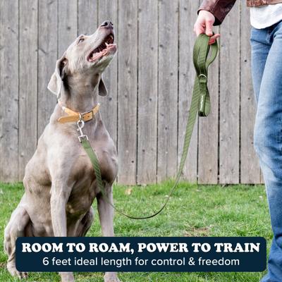 Show full view: Puppington Reflective Padded Dog & Cat Leash, Basil Green, 6-ft long, 1-in wide slide 4 of 8