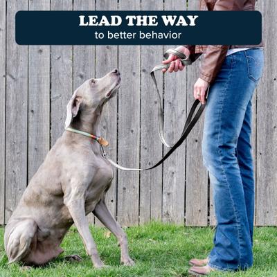 Show full view: Puppington Reflective Padded Dog & Cat Leash, Charcoal Gray, 6-ft long, 1-in wide slide 7 of 8