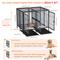 Show in main carousel: BingoPaw Double Kennel Dog Crate, Black, XX-Large slide 3 of 11