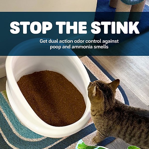 Naturally Fresh Multi-Cat Fresh Unscented Clumping Walnut Cat Litter