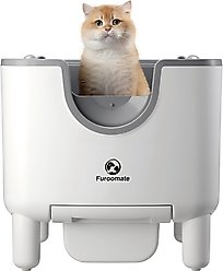 DVPETS Open-Top Automatic Self-Cleaning Cat Litter Box, 20.1-in