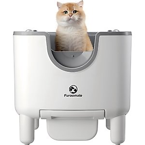 DVPETS Open-Top Automatic Self-Cleaning Cat Litter Box, 20.1-in
