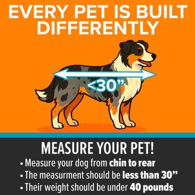 Show full view: K&H Pet Products Travel Safety Pet Carrier, Gray/Black, Large slide 4 of 12