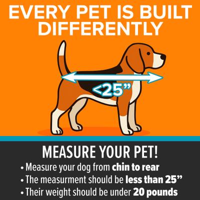 Show full view: K&H Pet Products Travel Safety Pet Carrier, Gray/Black, Medium slide 4 of 12