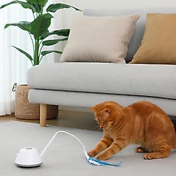 Pet Fit For Life Cat Laser Pointer & Feather Chaser Toy, White, Medium slide 2 of 8