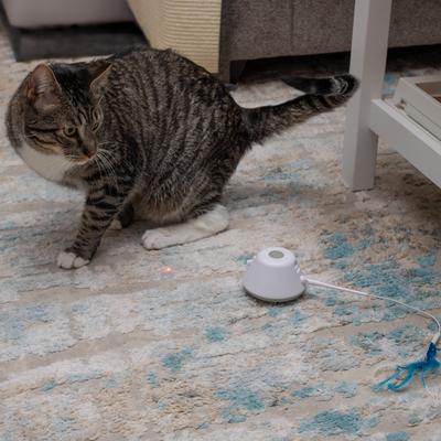 Show full view: Pet Fit For Life Cat Laser Pointer & Feather Chaser Toy, White, Medium slide 8 of 9