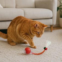 Pet Fit For Life Rechargeable Cat Ball with Tail, Red, Medium slide 2 of 7