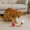 Show in main carousel: Pet Fit For Life Rechargeable Cat Ball with Tail, Red, Medium slide 7 of 8