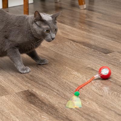 Show full view: Pet Fit For Life Rechargeable Cat Ball with Tail, Red, Medium slide 6 of 8