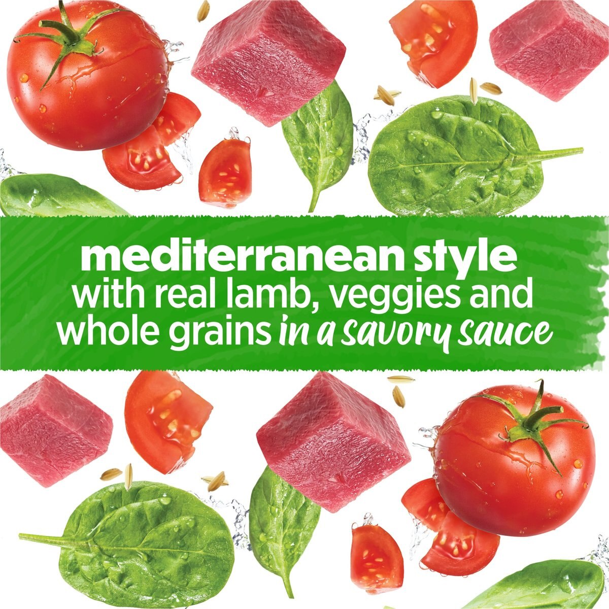 Purina Beneful Medleys Mediterranean Style with Real Lamb in Gravy Wet Dog Food