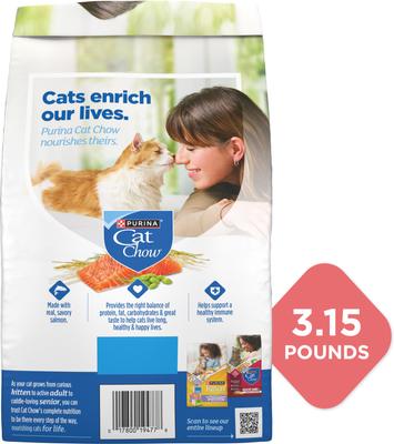Show full view: Purina Cat Chow Complete High Protein with Real Salmon Dry Cat Food, 3.15-lb bag slide 3 of 11
