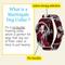 Show in main carousel: Country Brook Petz HossFit Jr Crimson & White Camo Wide Martingale Dog Collar, Red, X-Large: 23 to 31-in neck, 1.5-in wide slide 3 of 8