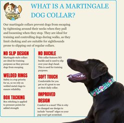 Country Brook Petz HossFit Jr Sheet Music Wide Martingale Dog Collar, Large slide 2 of 8