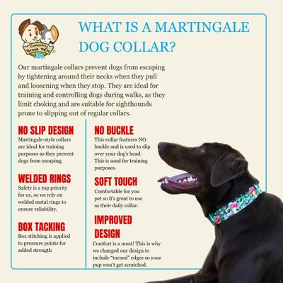 Show full view: Country Brook Petz HossFit Jr Sheet Music Wide Martingale Dog Collar, X-Large slide 5 of 8