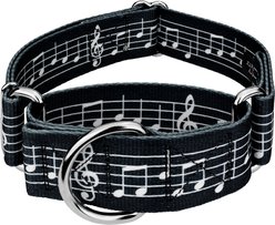 Country Brook Petz HossFit Jr Sheet Music Wide Martingale Dog Collar, Medium