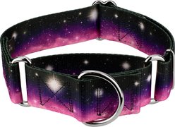 Country Brook Petz HossFit Jr Heavenly Space Wide Martingale Dog Collar, Large