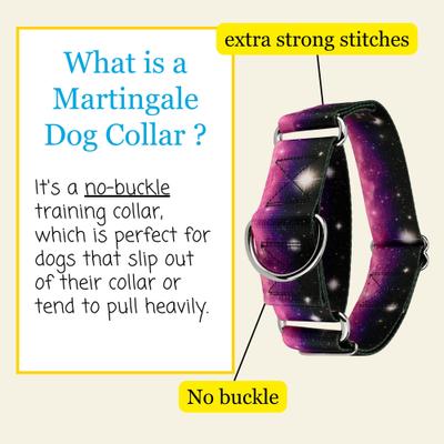 Show full view: Country Brook Petz HossFit Jr Heavenly Space Wide Martingale Dog Collar, Medium slide 3 of 8