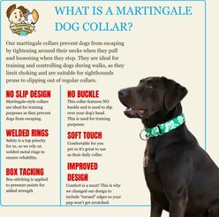 Country Brook Petz HossFit Jr Ladybug Picnic Wide Martingale Dog Collar, Large slide 2 of 8