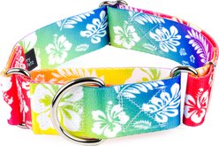 Country Brook Petz HossFit Jr Hawaiian Rainbow Wide Martingale Dog Collar, Large