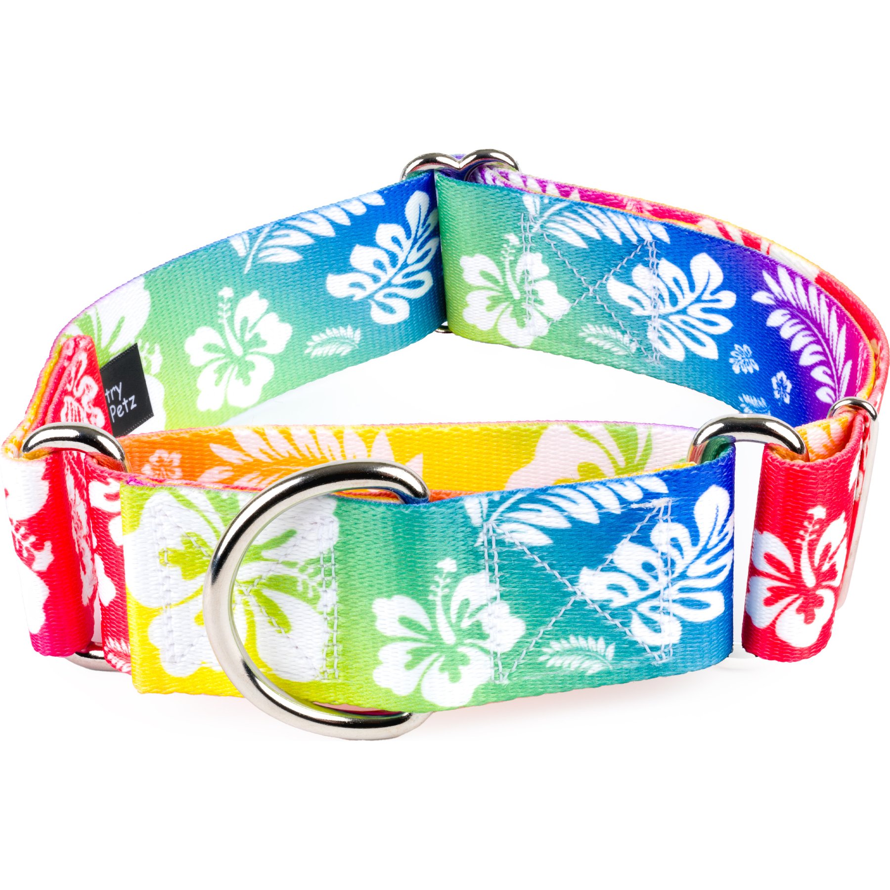 Country Brook Petz HossFit Jr Hawaiian Rainbow Wide Martingale Dog Collar, Medium