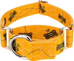 Country Brook Petz HossFit Jr Busy Bee Wide Martingale Dog Collar, Medium