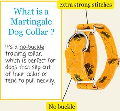Country Brook Petz HossFit Jr Busy Bee Wide Martingale Dog Collar, X-Large: 23 to 31-in neck, 1.5-in wide slide 2 of 9