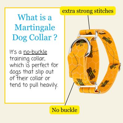 Show full view: Country Brook Petz HossFit Jr Busy Bee Wide Martingale Dog Collar, Medium slide 5 of 9