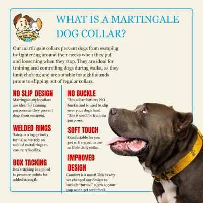 Show full view: Country Brook Petz HossFit Jr Busy Bee Wide Martingale Dog Collar, Medium slide 7 of 9