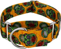 Country Brook Petz HossFit Jr Sugar Skulls Wide Martingale Dog Collar, Medium