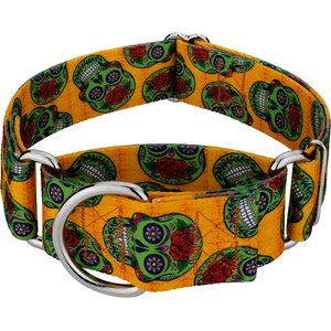 Country Brook Petz HossFit Jr Sugar Skulls Wide Martingale Dog Collar, Large