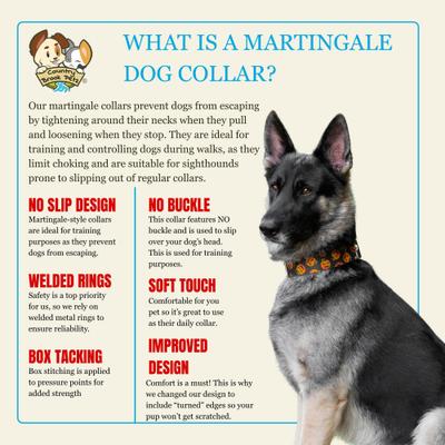 Show full view: Country Brook Petz HossFit Jr Sugar Skulls Wide Martingale Dog Collar, Large slide 5 of 8