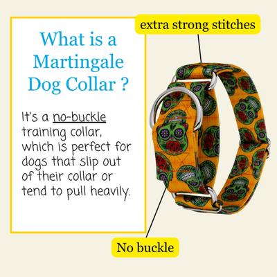 Show full view: Country Brook Petz HossFit Jr Sugar Skulls Wide Martingale Dog Collar, Large slide 3 of 8
