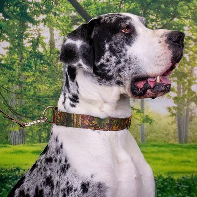 Show full view: Country Brook Petz HossFit Jr Wide Martingale Dog Collar, Southern Forest, Medium slide 3 of 9