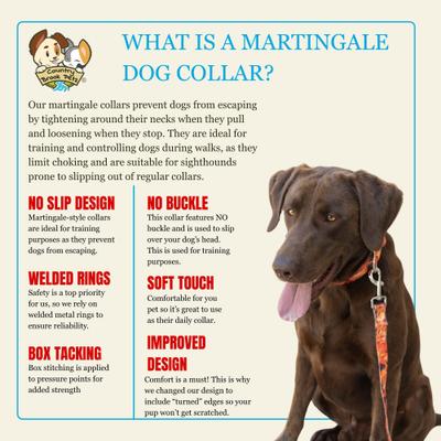 Show full view: Country Brook Petz HossFit Jr Wide Martingale Dog Collar, Orange Sunset, Large slide 7 of 9