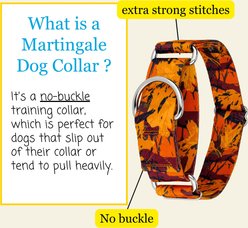 Country Brook Petz HossFit Jr Wide Martingale Dog Collar, Orange Sunset, Large slide 2 of 9