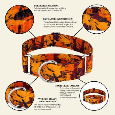 Show full view: Country Brook Petz HossFit Jr Wide Martingale Dog Collar, Orange Sunset, Large slide 8 of 9