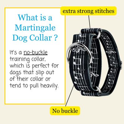 Show full view: Country Brook Petz HossFit Jr Sheet Music Wide Martingale Dog Collar, X-Large slide 3 of 8