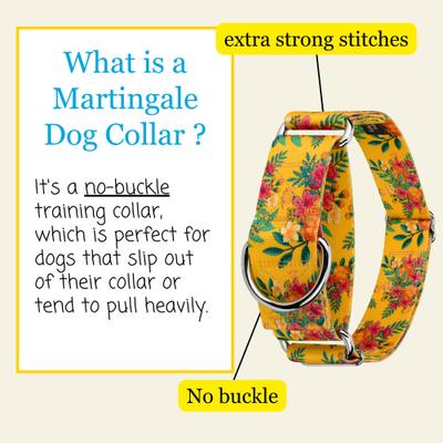 Show full view: Country Brook Petz HossFit Jr Tropical Floral Wide Martingale Dog Collar, Yellow, Medium: 15 to 21-in neck, 1.5-in wide slide 3 of 8