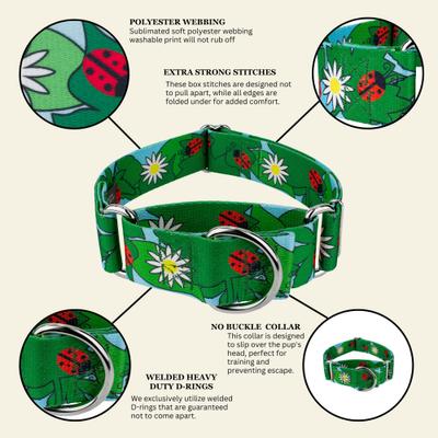 Show full view: Country Brook Petz HossFit Jr Ladybug Picnic Wide Martingale Dog Collar, Large slide 6 of 8