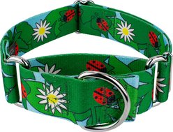 Country Brook Petz HossFit Jr Ladybug Picnic Wide Martingale Dog Collar, Medium