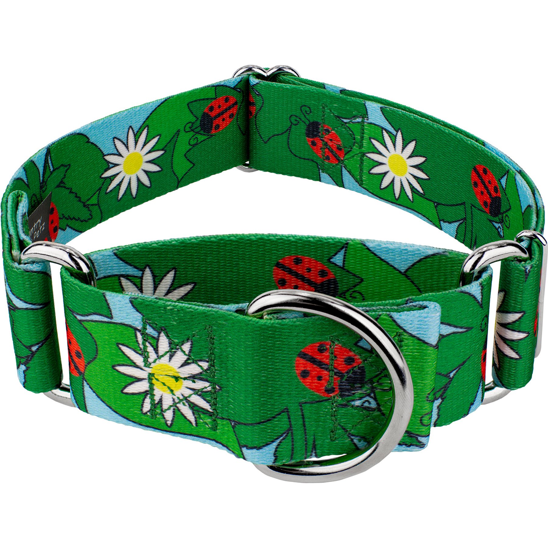 Country Brook Petz HossFit Jr Ladybug Picnic Wide Martingale Dog Collar, Green, X-Large