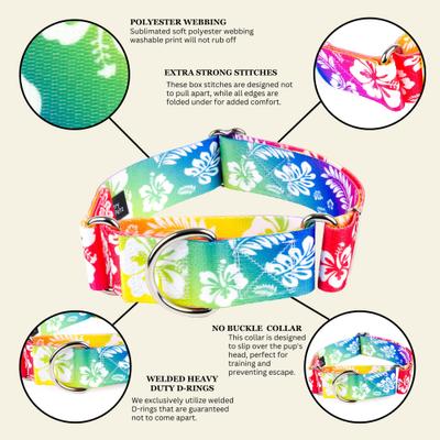 Show full view: Country Brook Petz HossFit Jr Hawaiian Rainbow Wide Martingale Dog Collar, X-Large slide 7 of 9